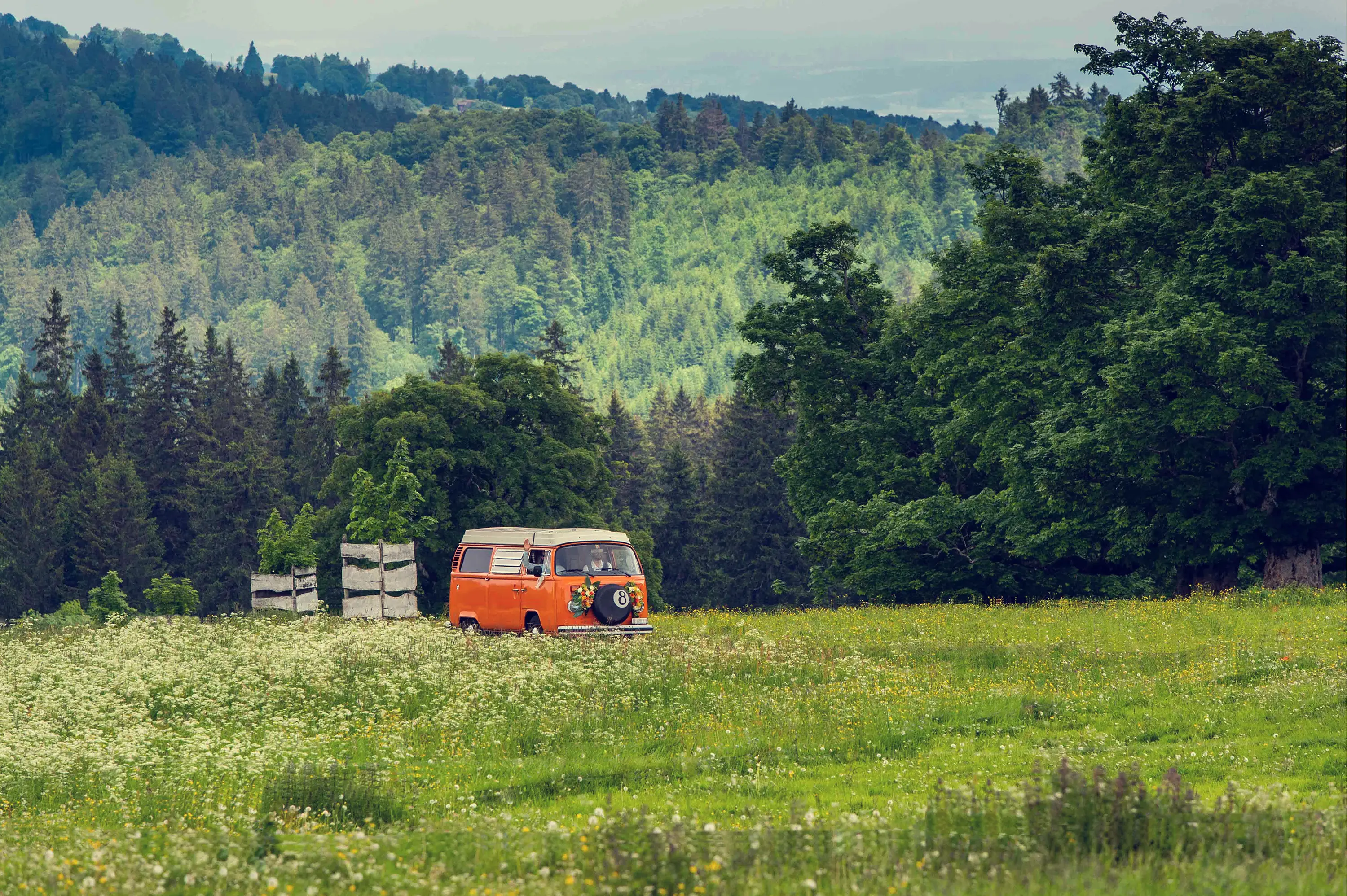 VW Bus auf einer Wiese im Wald.